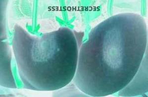 33 year old Escort in Gadsden AL Unleash Your Wildest Fantasies on Father's Day with My 