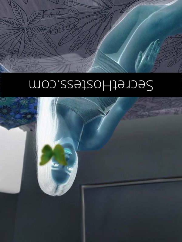 25Yrs Old Escort Size 8 162CM Tall Brisbane Image - 7