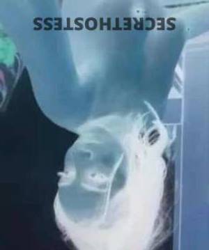23Yrs Old Escort Brisbane Image - 4