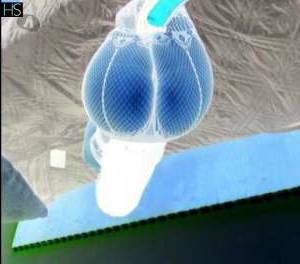 28 year old Escort in Worcester Welcome to Rossa The Curvy and Flirty Companion for Wild 