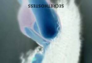 28 year old Escort in Applecross Perth Sizzling Hottie for Your Ecstasy caramel tan, lush locks, 