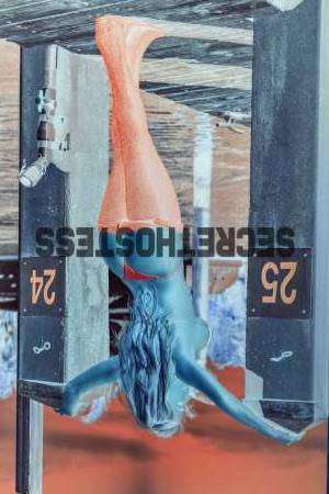 28Yrs Old Escort North Florida FL Image - 6