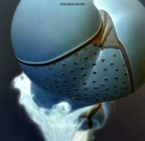 29Yrs Old Escort 168CM Tall Fussa Image - 7