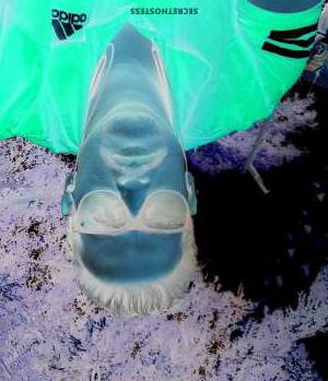 38 year old Indian Escort in Ahmedabad Gaurav, Male escort