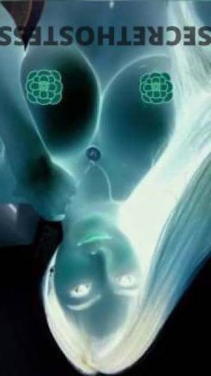 23 year old Escort in Sunshine Coast High-Class Independent Escorts for Gentlemen - New Arrivals 