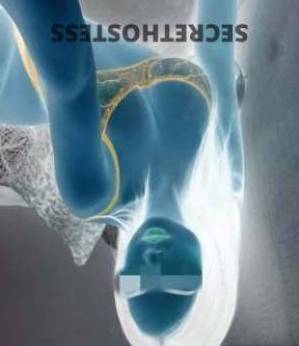 26 year old Escort in Albury Promoting My Erotic and Sensual Massage Services in Albury 