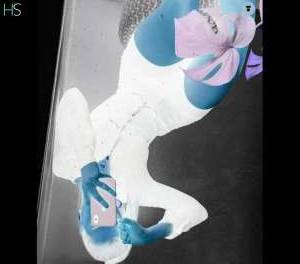 Elissa 23Yrs Old Escort Edinburgh Image - 4