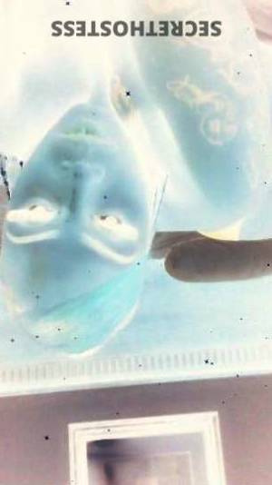 25 year old American Escort in El Paso TX New Escort in Town Ready to Please You