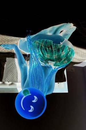 24 year old Escort in Nairobi Introducing Maya, Nairobi's Newest Escort