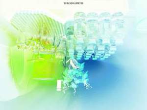 Nana 30Yrs Old Escort 167CM Tall Ajman Image - 3