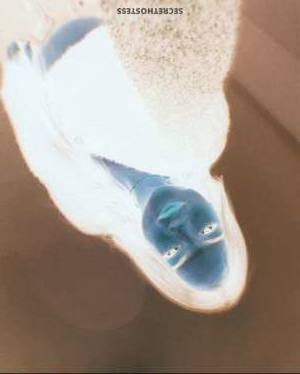 Vanessa Katie 26Yrs Old Escort 168CM Tall Moncton, New Brunswick Image - 6