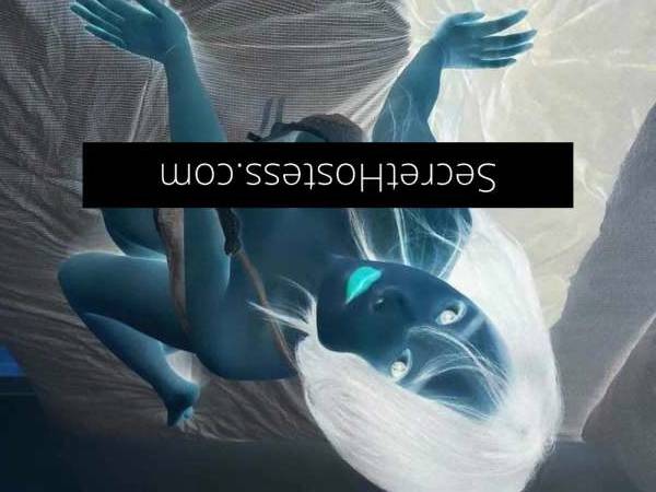 23Yrs Old Escort Size 6 48KG Melbourne Image - 10