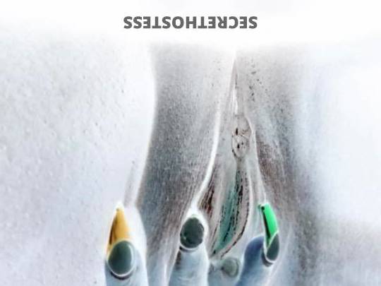 FunSize 27Yrs Old Escort Bradenton FL Image - 4