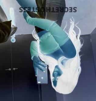 Maggie 22Yrs Old Escort Size 8 Brisbane Image - 3