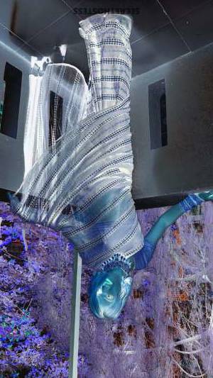 23Yrs Old Escort 184CM Tall Jodhpur Image - 14