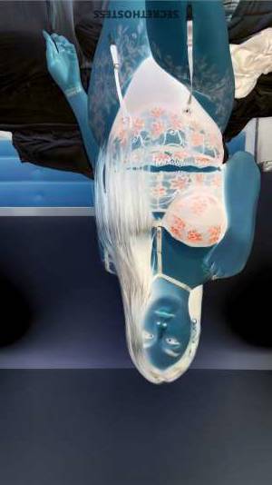 24Yrs Old Escort 168CM Tall Makassar Image - 17