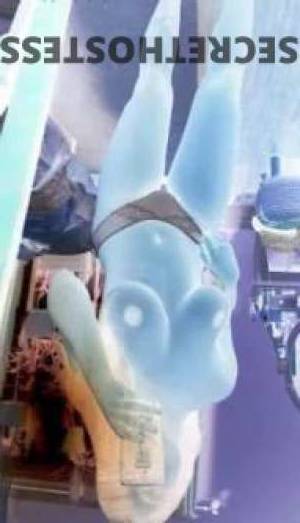 24 year old Australian Escort in Perth Let's Hook Up & Have Some Slutty, Dirty Fun! 