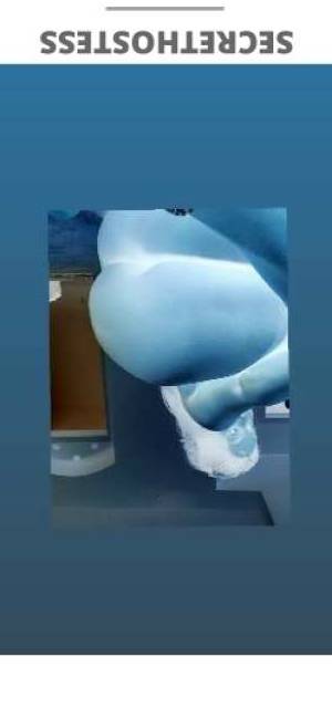 27Yrs Old Escort Little Rock AR Image - 1