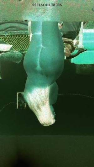 32Yrs Old Escort 176CM Tall Ajman Image - 1