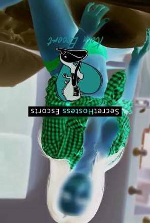 28 year old German Escort in Cologne Seductive Escort Indulge in Carnal Delights Now