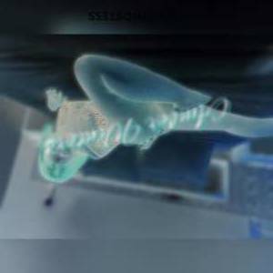 AmberWinters 24Yrs Old Escort Manhattan NY Image - 9