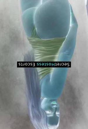 30 year old German Escort in Frankfurt am Main Bluma