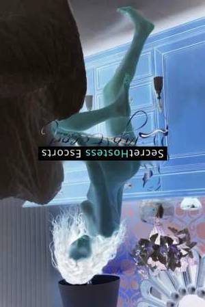 27 year old German Escort in Frankfurt am Main Chantal