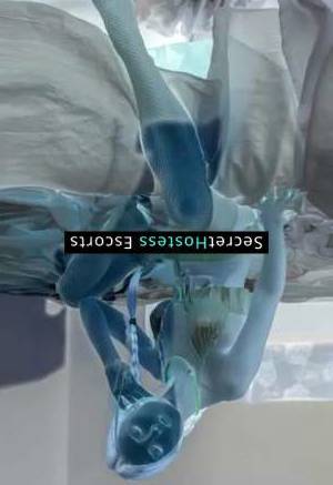 22 year old Russian Escort in Frankfurt am Main Fritz