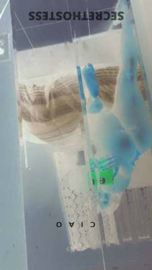 27 year old Escort in Bradenton FL Petite Sweetheart Waiting to Play and Please - Chocolate 