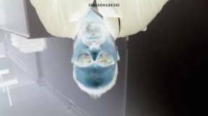 35 year old Indian Escort in Ahmedabad Hardik S, Male adult performer