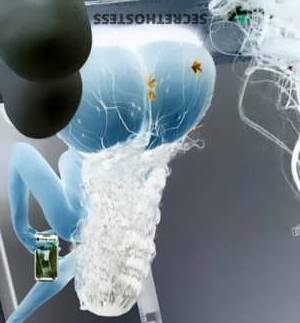 28 year old Escort in Bradenton FL Experience Delicious Fun with Slim/Thick Babe Craving Your 