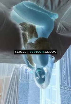 23 year old German Escort in Frankfurt am Main Karl