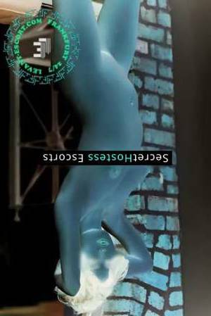 25 year old German Escort in Frankfurt am Main Lona