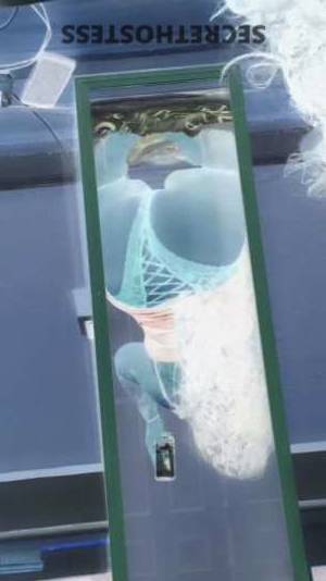 Monica 26Yrs Old Escort San Mateo CA Image - 2