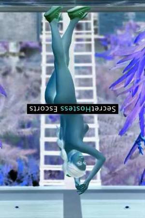 24 year old French Escort in Frankfurt am Main Nova