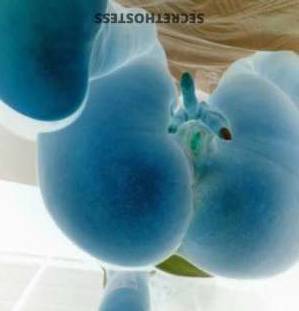 Puddless 22Yrs Old Escort Tacoma WA Image - 1