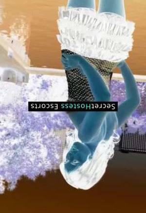 23 year old Escort in Frankfurt am Main Selena