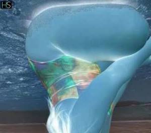 23 year old Caucasian Escort in Dublin Indulge in Exquisite Satisfaction Sensual Massage by 24-Year