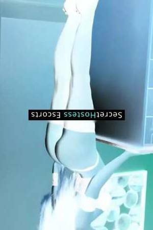 Sweet Kylie 24Yrs Old Escort 50KG 168CM Tall Montreal Image - 4