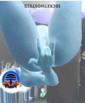 25 year old Escort in Bradenton FL HottestGuyEveravailableForYour Fantasies - AgeNoBar - 