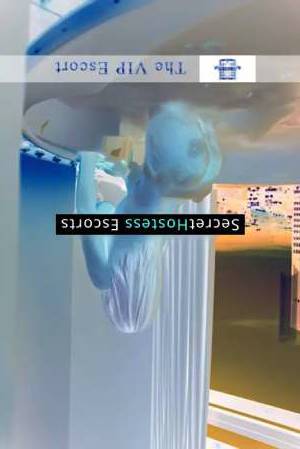 32 year old Caucasian Escort in Frankfurt am Main Discover the Ultimate Busty Beauty - Zara, Your Ideal 