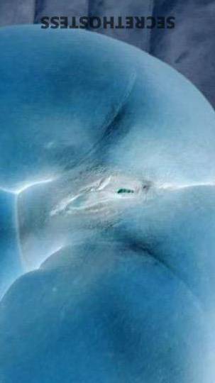 27Yrs Old Escort Fort Lauderdale FL Image - 0