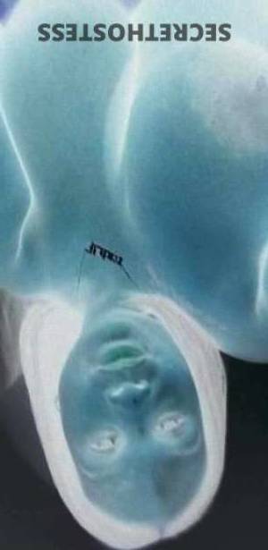 22 year old Escort in Miami FL Unforgettable Encounter, Your Perfect Playmate Awaits