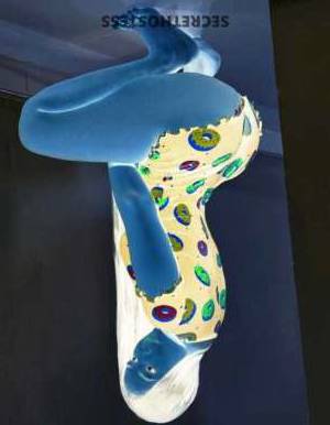 25 year old Egyptian Escort in Brooklyn NY Experience the Best ofMediterranean, Latina, and Ethiopian 