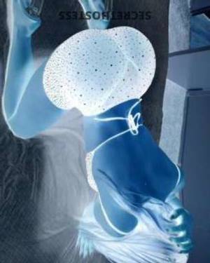 25 year old Hispanic Escort in Hudson Valley NY Petite Hispanic Babe Age 26 Hair Black Eyes Black Available 