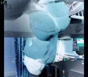 27 year old Latino Escort in Dublin 5 words "Hot Latina Deals Tonight