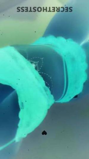 28 year old Escort in Cincinnati OH Unleash Your Wildest Desires with a thick and busty star New