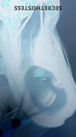Amber 27Yrs Old Escort Long Island NY Image - 2