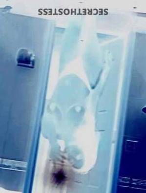 22 year old Brazilian Escort in Miami FL Experience Pleasure Curvy and Busty Latina Escort in Miami, 