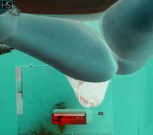 Special AppointmentLet Me Treat You Like a King! (I'm Laura in Pernambuco